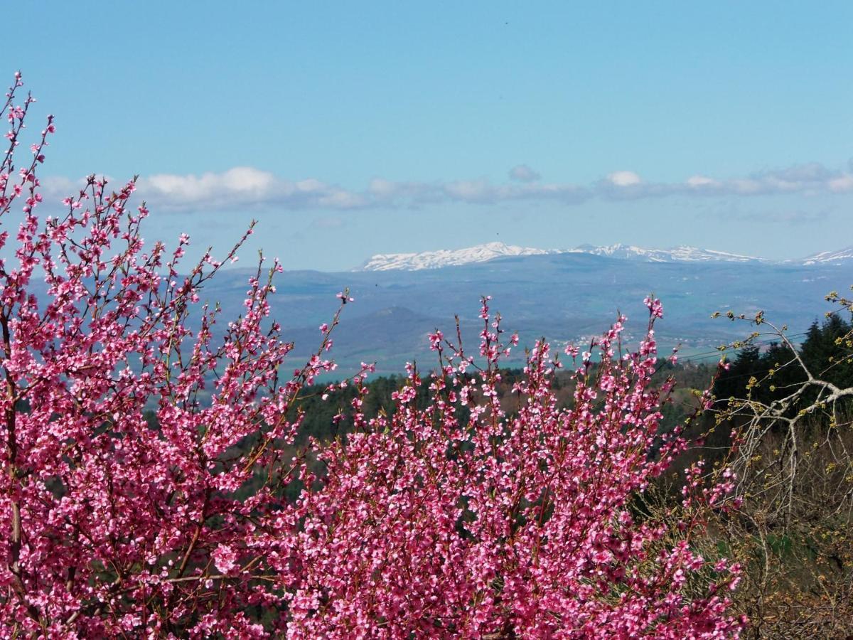 Le Vallon D'Armandine, Gite Ecologique Auvergne Saint-Hilaire  Экстерьер фото